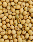 NUTRITIVE TREATMENTS