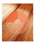Copper Wire |Tintura per capelli | PROCOSMET