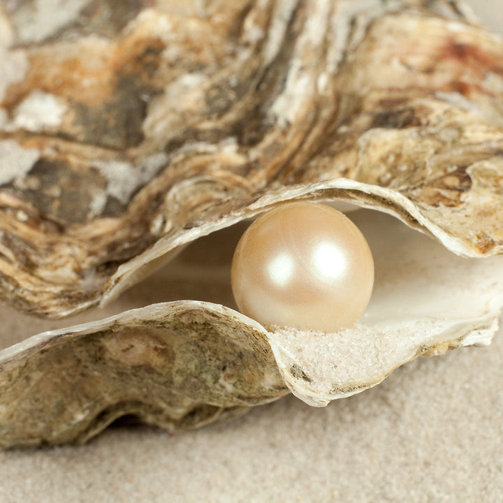 Idrolizzato di Perla