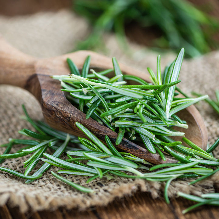 Olio Essenziale di Rosmarino