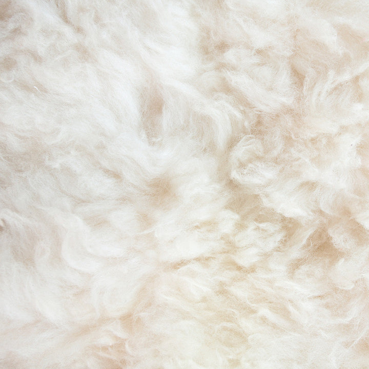 Proteine del Cashmere