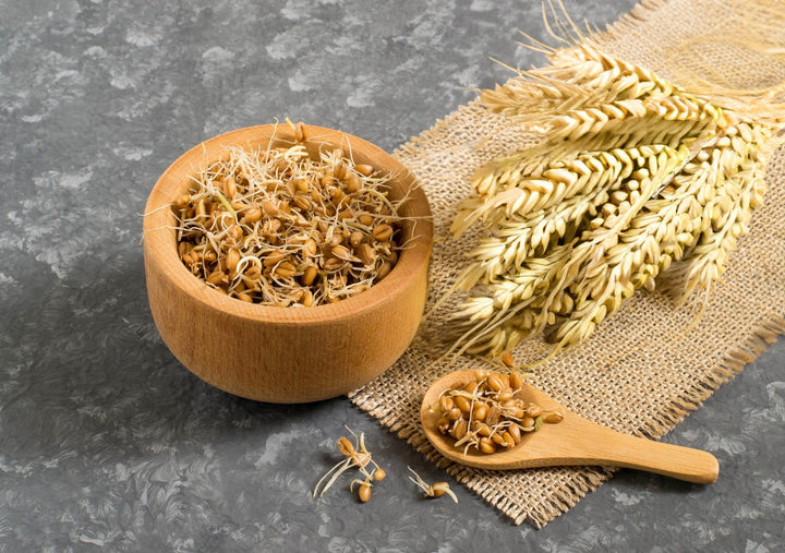 Olio di Germe di Grano