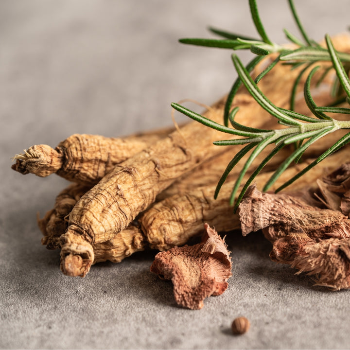 Estratto di Ginseng Biologico