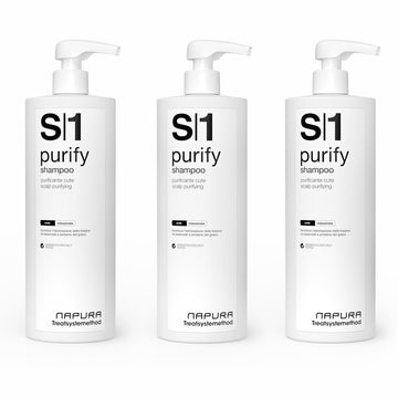 S1 Purify