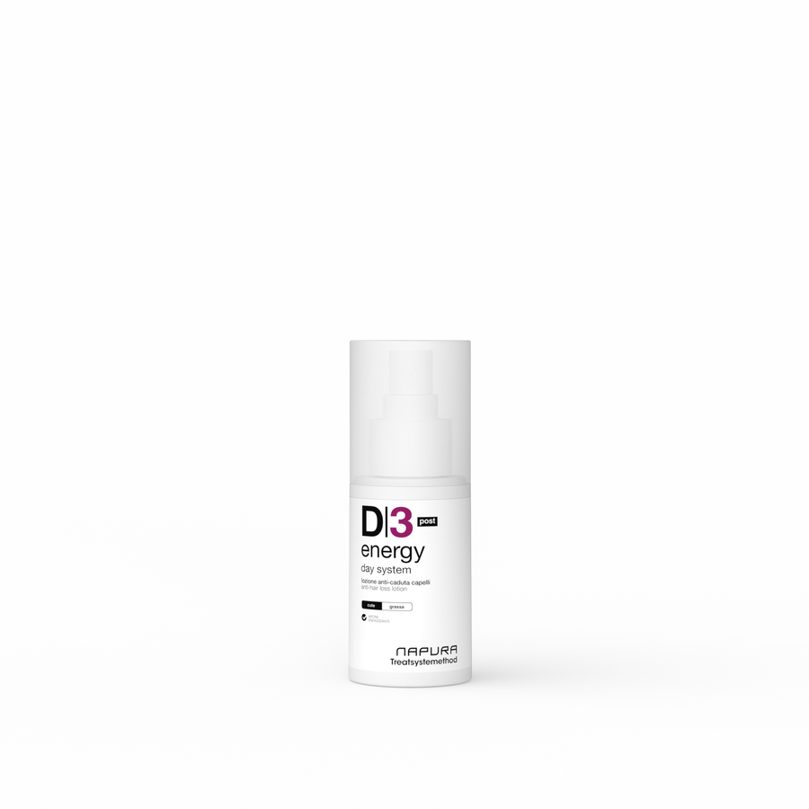 D3 Energy Day System