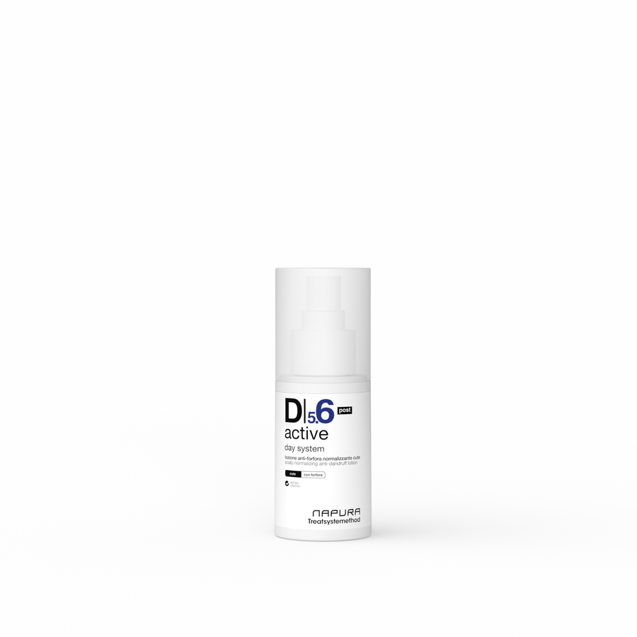 D5.6 Active Day System