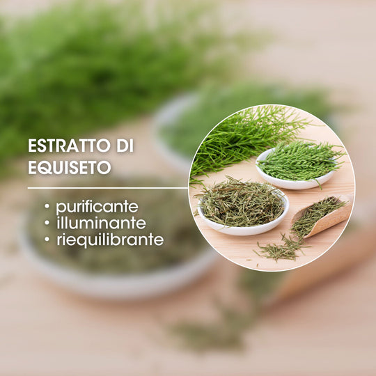ESTRATTO DI EQUISETO