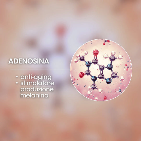 ADENOSINA