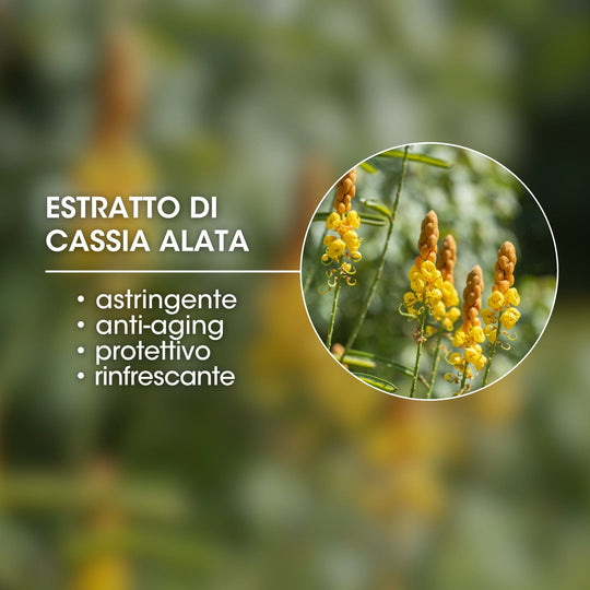 ESTRATTO DI CASSIA ALATA