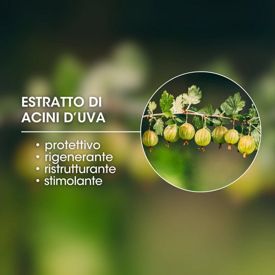 ESTRATTO DI UVA