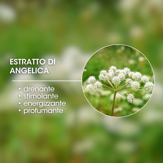 ESTRATTO GLICOLICO DI ANGELICA