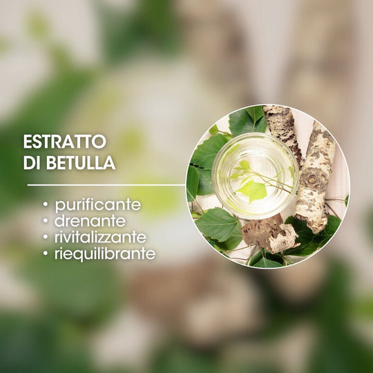 ESTRATTO DI BETULLA