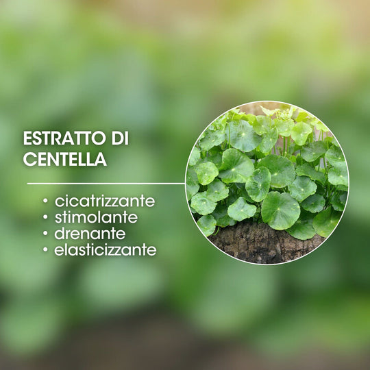 ESTRATTO DI CENTELLA