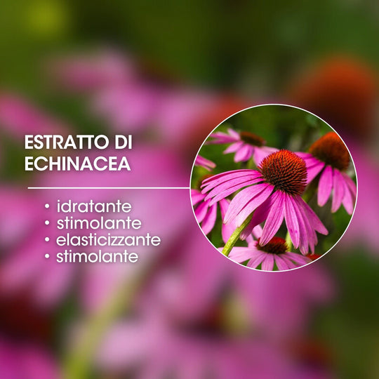 ESTRATTO DI ECHINACEA