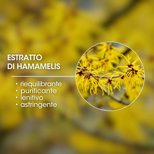 estratto di amamelide
