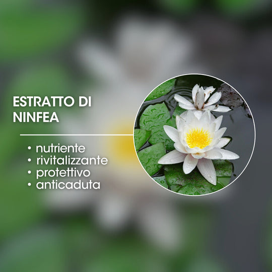 ESTRATTO DI NINFEA