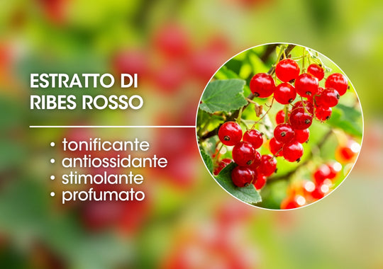 ESTRATTO DI RIBES ROSSO