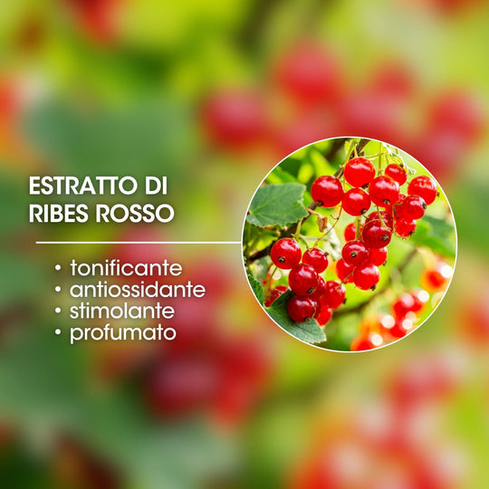 ESTRATTO DI RIBES ROSSO