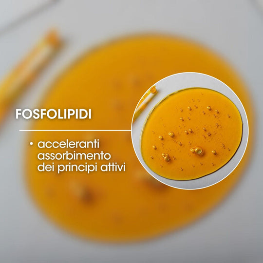 FOSFOLIPIDI