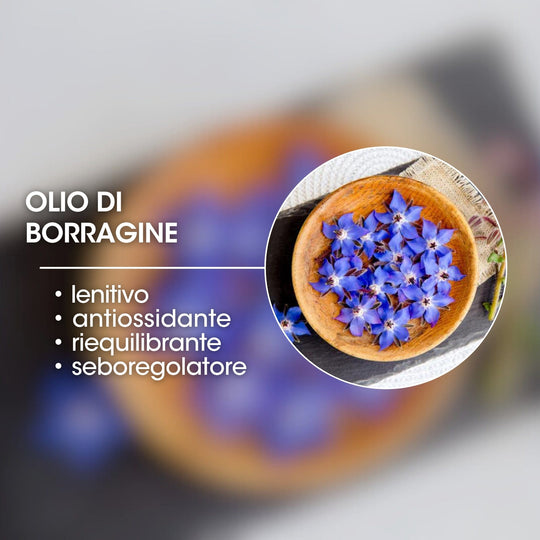 OLIO DI BORRAGINE