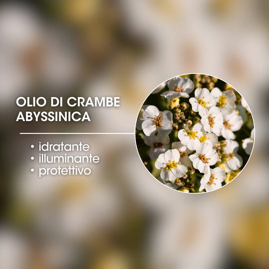 OLIO DI CRAMBE ABYSSINICA