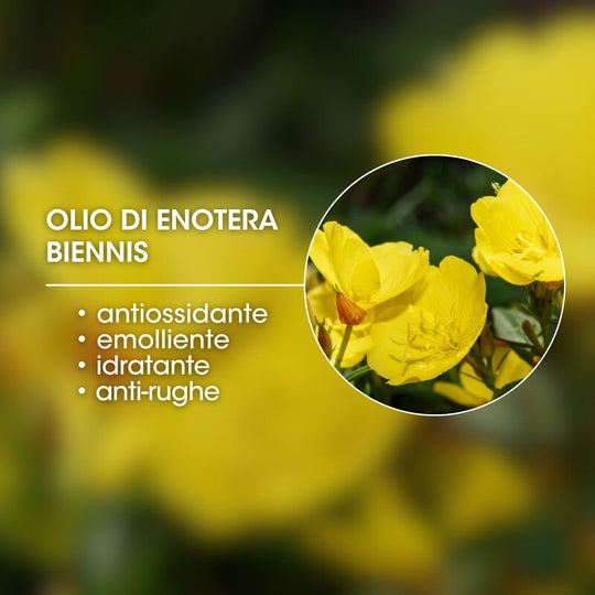 OLIO DI ENOTERA BIENNIS