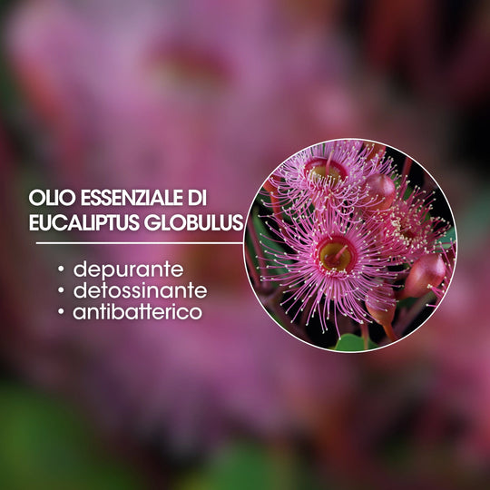 OLIO ESSENZIALE DI EUCALIPTO