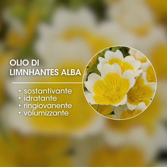 LIMNANTHES ALBA OIL