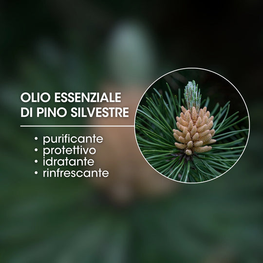 OLIO ESSENZIALE DI PINO SILVESTRE