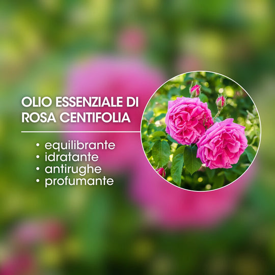 olio essenziale di rosa centifolia