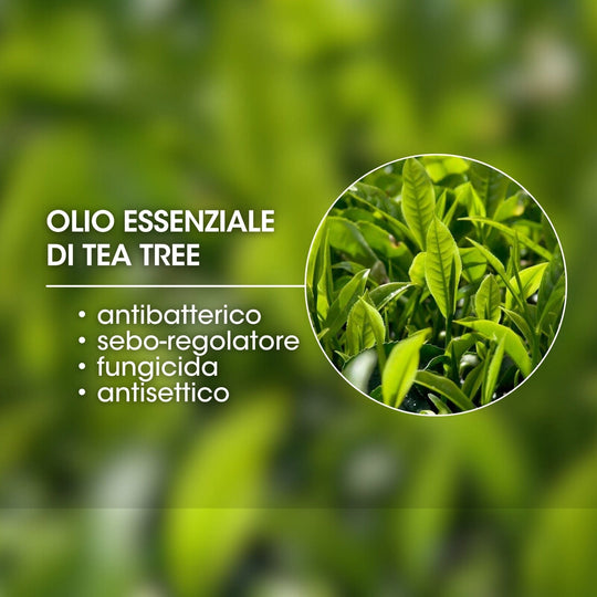 PLANT-DERIVED SURFACTANTS SLS&SLES FREE