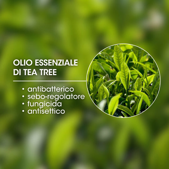 OLIO ESSENZIALE DI TEA TREE OIL