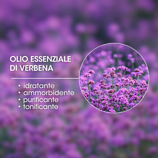 ESSENTIAL OIL OF VERBENA