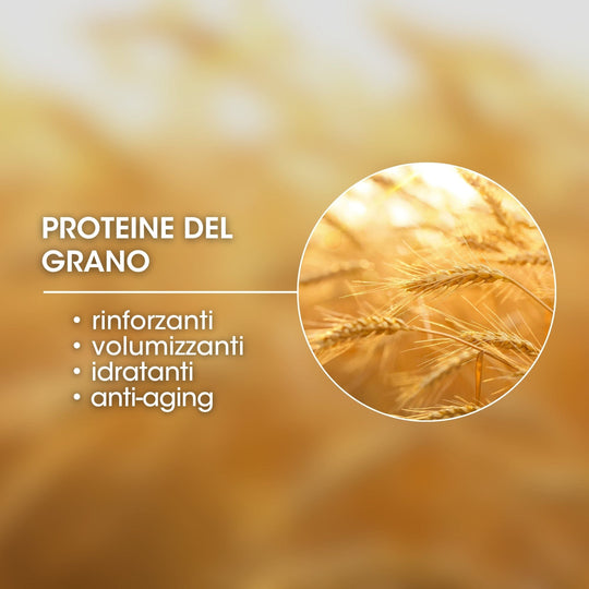 proteine idrolizzate del grano