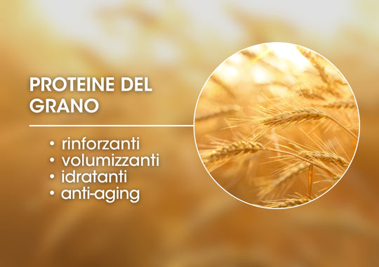 MICROPROTEINE DEL GRANO