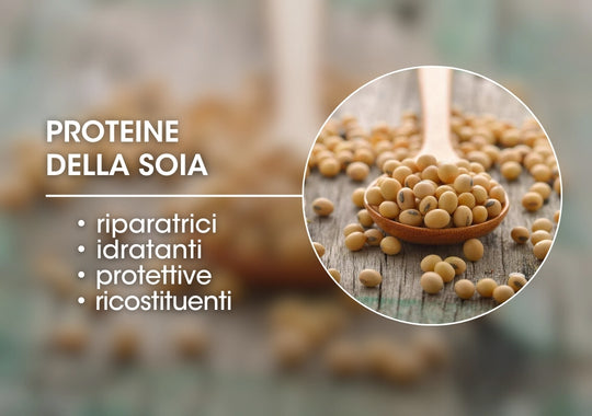 PROTEINE DELLA SOIA