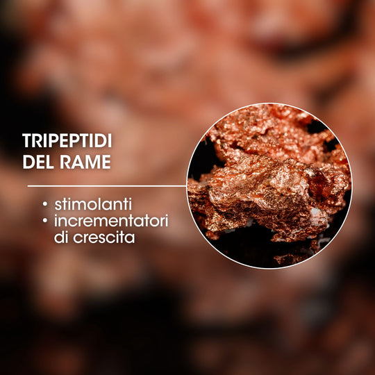 tripeptidi del rame con didascalia