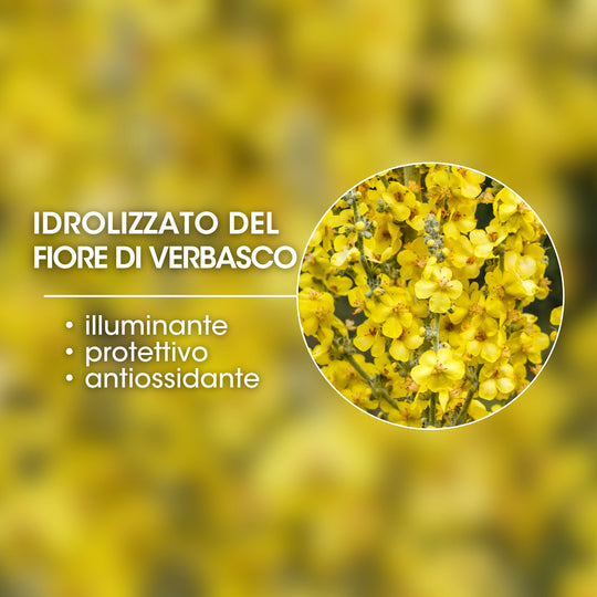 IDROLIZZATO DEL FIORE DEL VERBASCO