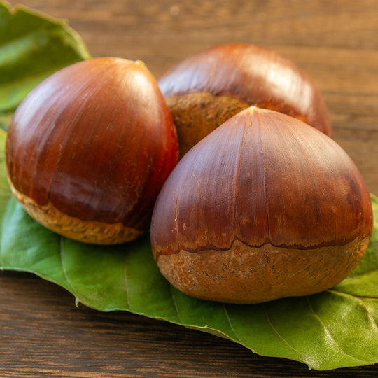 Chestnut starch extract