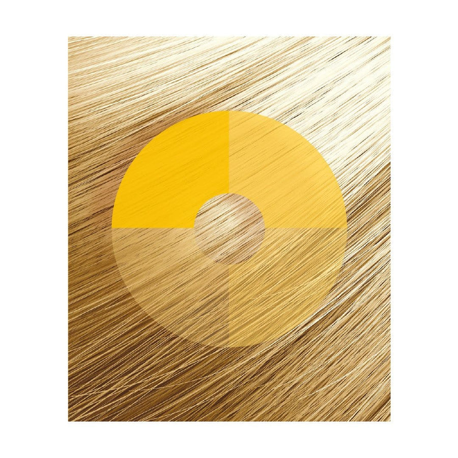 Golden Beach |Tintura per capelli | PROCOSMET